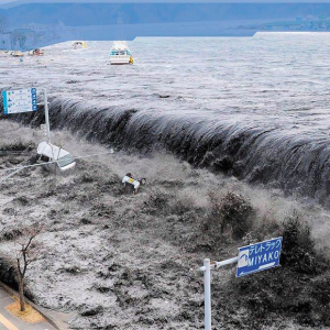 В океане зафиксирована надвигающаяся глобальная катастрофа